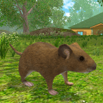 Mouse Simulator Forest Home 150x150