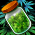 Hempire Plant Growing Game.png