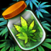 Hempire Plant Growing Game.png