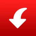 Pinterest Video Downloader.png